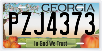 GA license plate PZJ4373