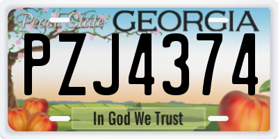 GA license plate PZJ4374