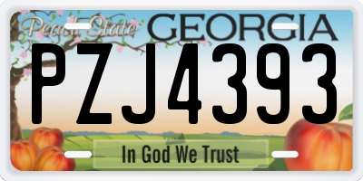 GA license plate PZJ4393