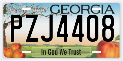 GA license plate PZJ4408