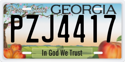 GA license plate PZJ4417