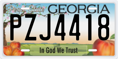GA license plate PZJ4418