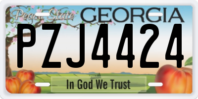 GA license plate PZJ4424
