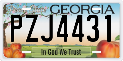 GA license plate PZJ4431