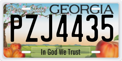 GA license plate PZJ4435