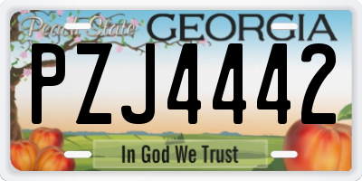 GA license plate PZJ4442