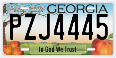 GA license plate PZJ4445