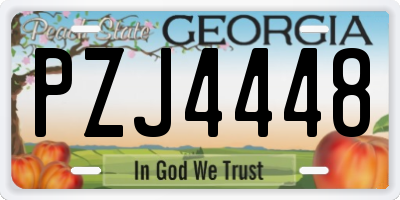 GA license plate PZJ4448
