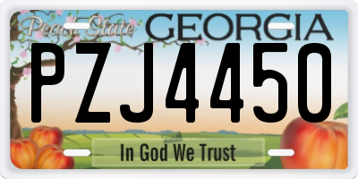 GA license plate PZJ4450