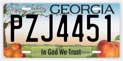 GA license plate PZJ4451