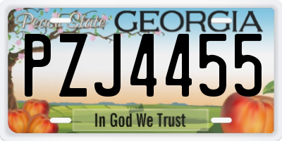 GA license plate PZJ4455