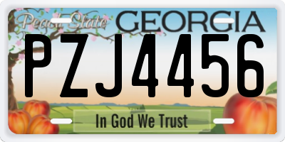 GA license plate PZJ4456