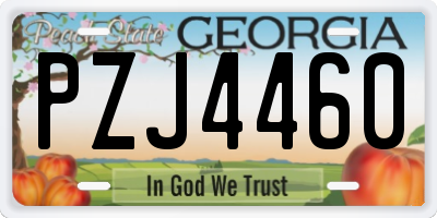 GA license plate PZJ4460