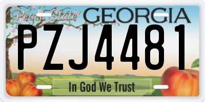 GA license plate PZJ4481