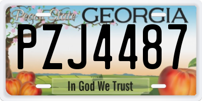 GA license plate PZJ4487