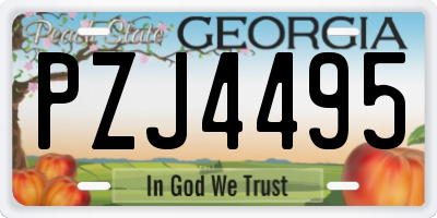 GA license plate PZJ4495