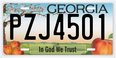 GA license plate PZJ4501