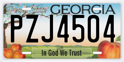 GA license plate PZJ4504
