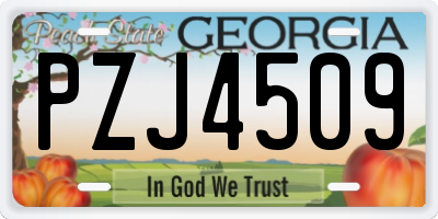GA license plate PZJ4509
