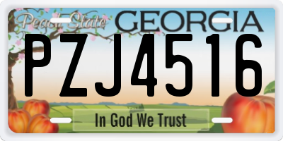 GA license plate PZJ4516