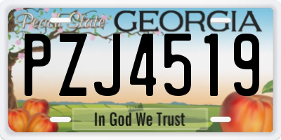 GA license plate PZJ4519