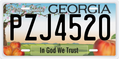 GA license plate PZJ4520