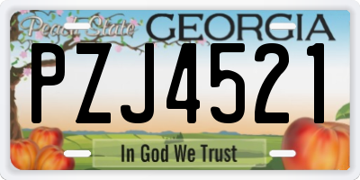 GA license plate PZJ4521