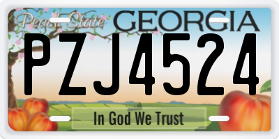 GA license plate PZJ4524