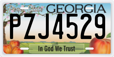 GA license plate PZJ4529