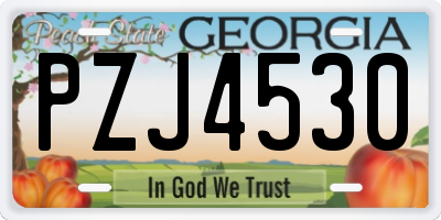 GA license plate PZJ4530