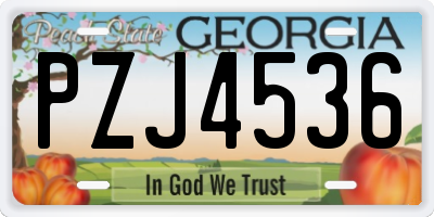 GA license plate PZJ4536