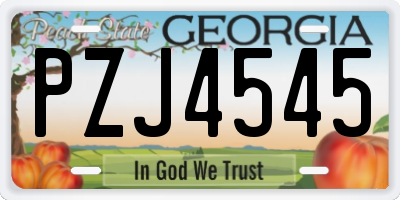 GA license plate PZJ4545