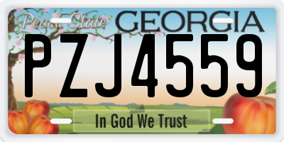 GA license plate PZJ4559