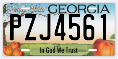 GA license plate PZJ4561