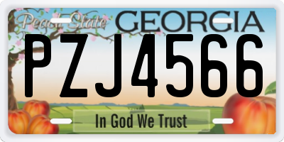 GA license plate PZJ4566