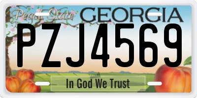 GA license plate PZJ4569