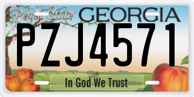 GA license plate PZJ4571