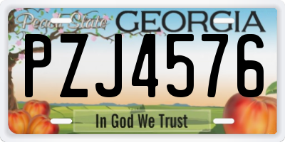 GA license plate PZJ4576