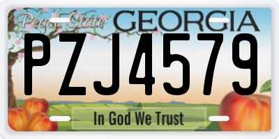 GA license plate PZJ4579