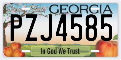 GA license plate PZJ4585