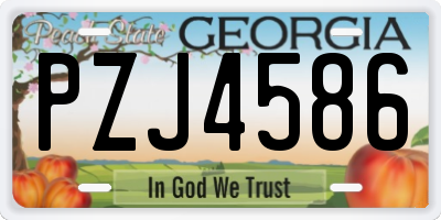GA license plate PZJ4586