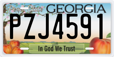 GA license plate PZJ4591