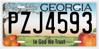 GA license plate PZJ4593