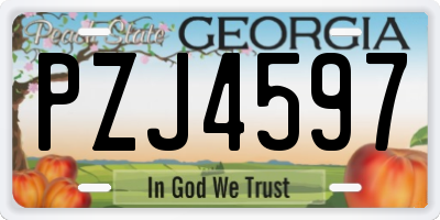 GA license plate PZJ4597