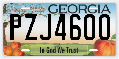 GA license plate PZJ4600