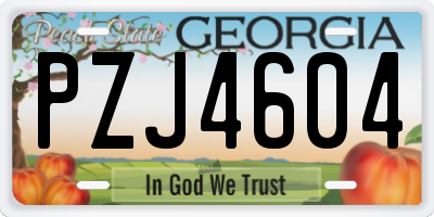 GA license plate PZJ4604