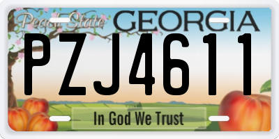 GA license plate PZJ4611