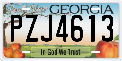 GA license plate PZJ4613