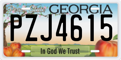 GA license plate PZJ4615