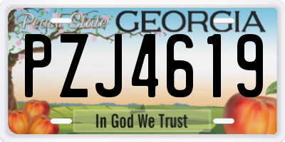 GA license plate PZJ4619